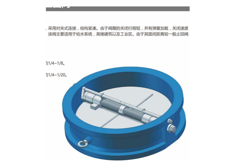 对夹双瓣旋启式止回阀