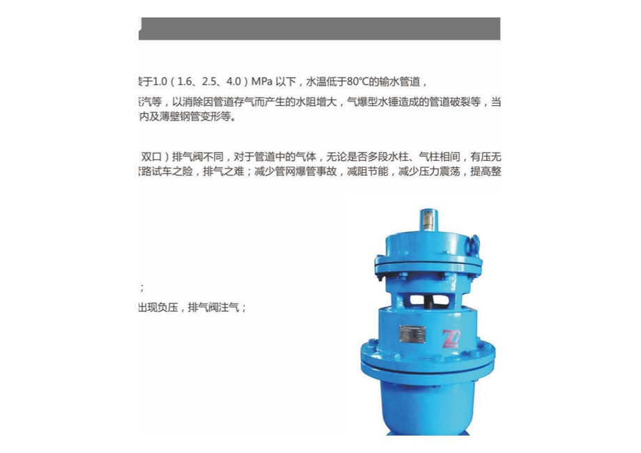 全压高速排气阀